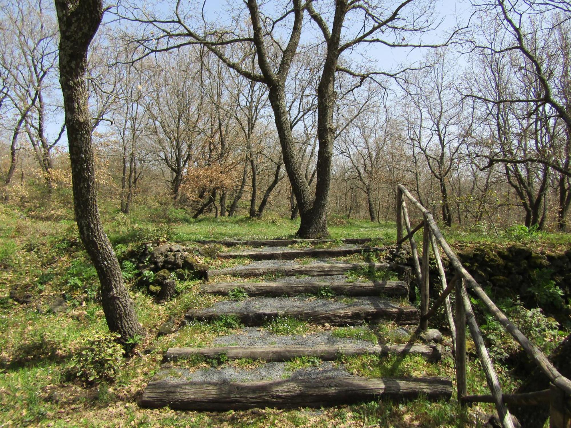 Boscoscuro Villa Ragalna Екстериор снимка