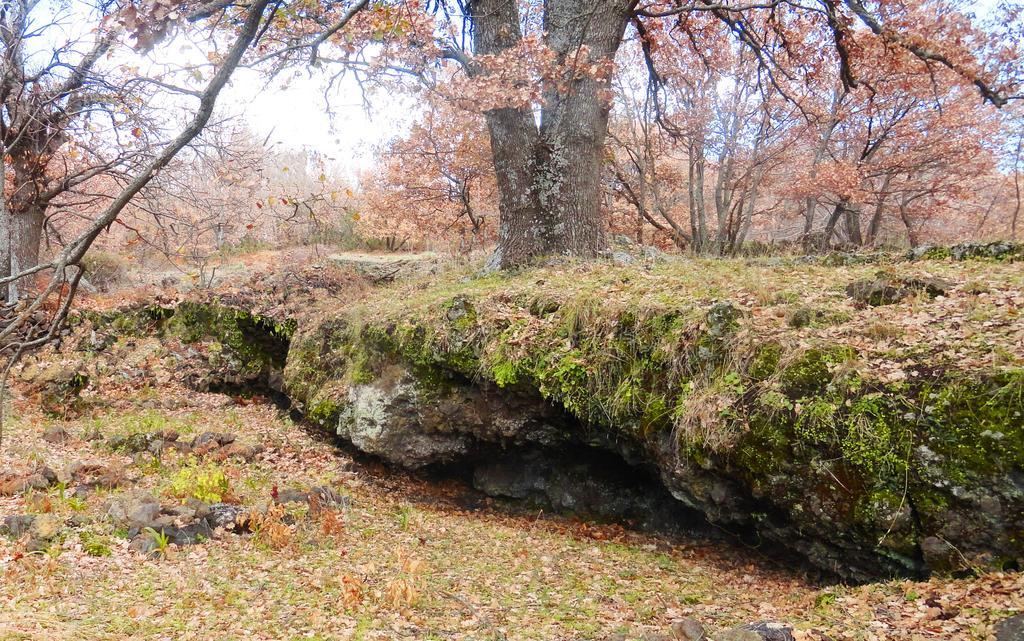 Boscoscuro Villa Ragalna Екстериор снимка
